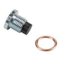 Bouchon de vidange d'huile M16x1,5 longueur filetage 13,5 mm