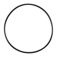 Thermostat à joint torique