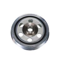 Amortisseur de vibrations de poulie