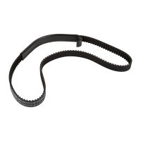 Courroie crantée 146 dents 24 mm OE71739873