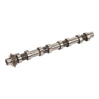 Arbre à cames 21 dents, chaîne de distribution, pas 7 mm