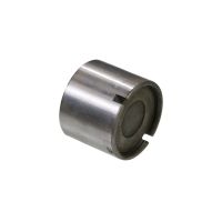 Poussoir de soupape pour cale