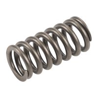 Ressort de soupape 1.3 JTD