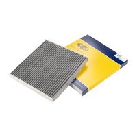 Filtre à charbon actif intérieur