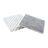 Filtre à charbon actif intérieur