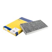 Filtre à charbon actif intérieur Magneti Marelli