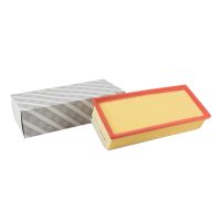 Insert de filtre à air carré AG Automotive