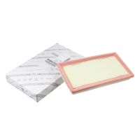 Insert de filtre à air angulaire