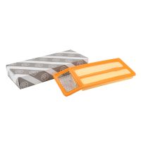 Insert de filtre à air carré AG Automotive