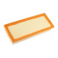 Cartouche de filtre à air d'origine PSA 1444QZ