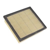 Insert de filtre à air angulaire