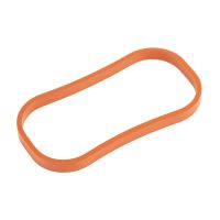 Bague d'étanchéité collecteur d'admission origine FCA