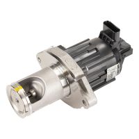 Papillon des gaz avec vanne EGR