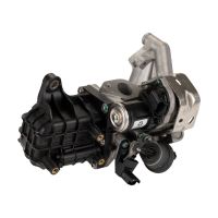 module EGR