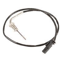 Capteur, température des gaz d'échappement