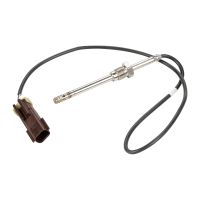 Capteur, température des gaz d'échappement