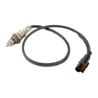 Sonde lambda après Kat Original FCA 55249077