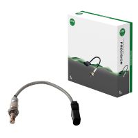 Sonde lambda devant un chat