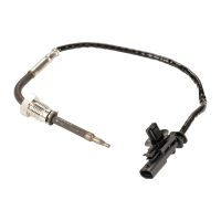 Capteur, gaz d'echappement