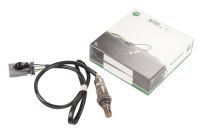 Sonde lambda devant un chat