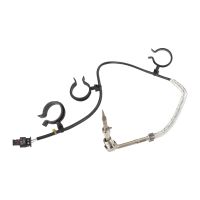 Capteur de température des gaz d'échappement