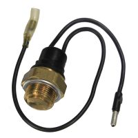 Interrupteur thermique sur le radiateur