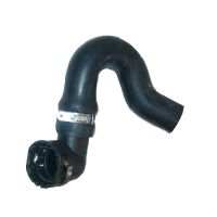 Durite de radiateur en bas à droite