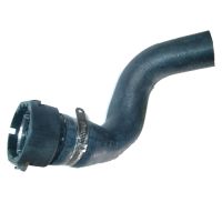 Durite de radiateur en bas à droite