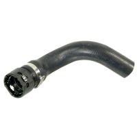 Durite de radiateur en bas à droite