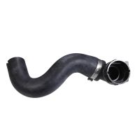 Durite de radiateur en bas du radiateur