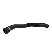 Durite de radiateur en haut du radiateur