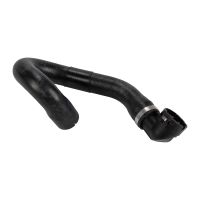 Durite de radiateur en bas à droite