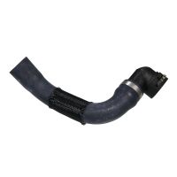 Durite de radiateur en bas à droite