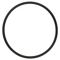 Bague d'étanchéité thermostat 1372 1581 ccm