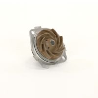 Pompe à eau Magneti Marelli