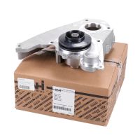 Pompe à eau d'origine