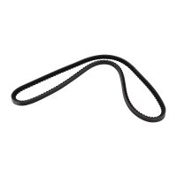 Courroie trapézoïdale robuste 10A1050C DAYCO