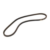Courroie trapézoïdale 10x913