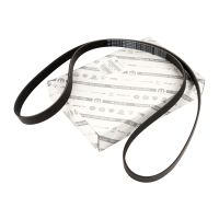 Courroie striée 6K1856