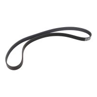 ceinture serpentine
