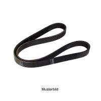 Courroie trapézoïdale striée 5K1072-5 DAYCO