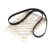 Courroie striée 5K1215-8 OE 55240004