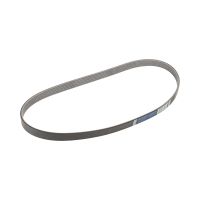 ceinture serpentine