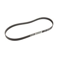 ceinture serpentine