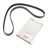 Courroie nervurée 6K1160