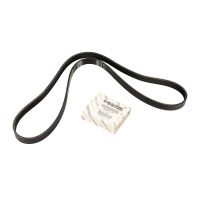 Courroie trapézoïdale à nervures 6K1395S OE 55245963