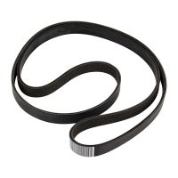 Courroie striée 6K1725 OE 55201363