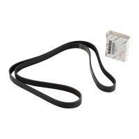 Courroie striée 6K1855