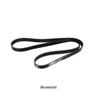 Courroie striée 6K2550