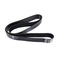 Courroie trapézoïdale striée 12PK1925HD Dayco